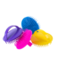 d6-multicolor